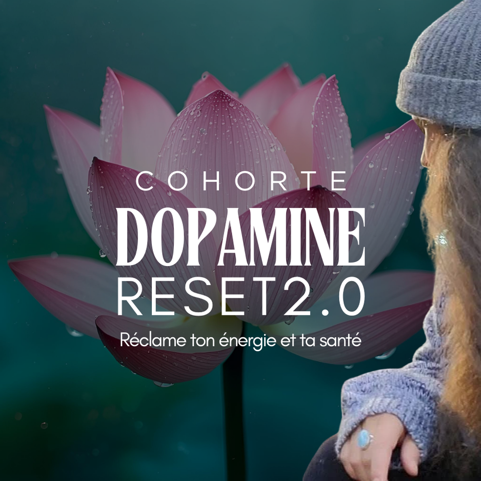 Dopamine Reset 2.0