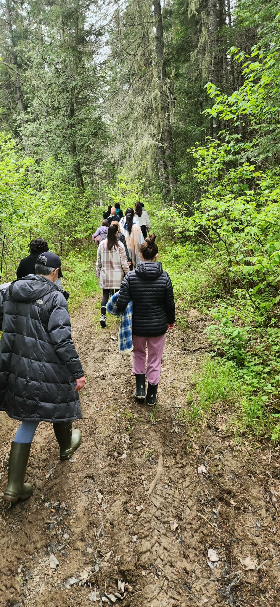 Marche en nature retraite